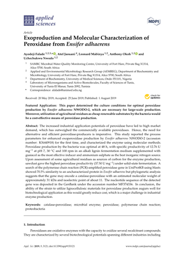 Exoproduction and Molecular Characterization of Peroxidase from Ensifer Adhaerens
