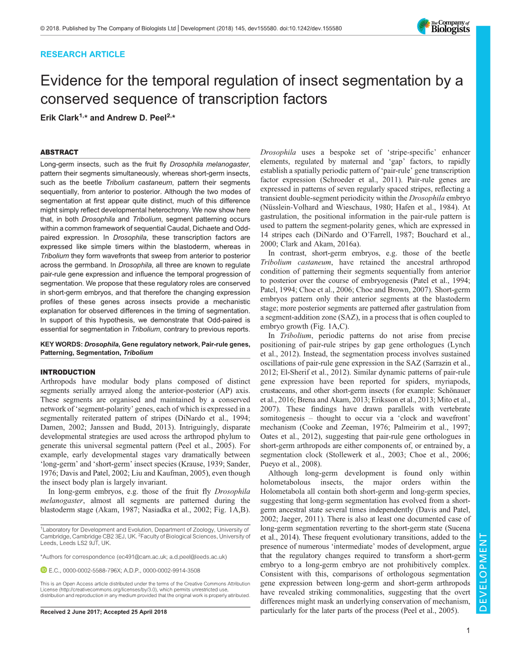Evidence for the Temporal Regulation of Insect Segmentation by a Conserved Sequence of Transcription Factors Erik Clark1,* and Andrew D