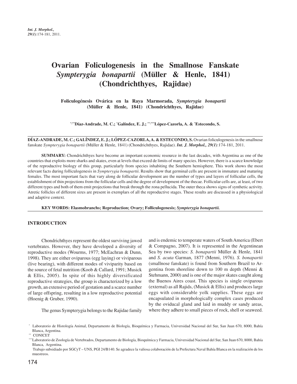 Ovarian Foliculogenesis in the Smallnose Fanskate Sympterygia Bonapartii (Müller & Henle, 1841) (Chondrichthyes, Rajidae)