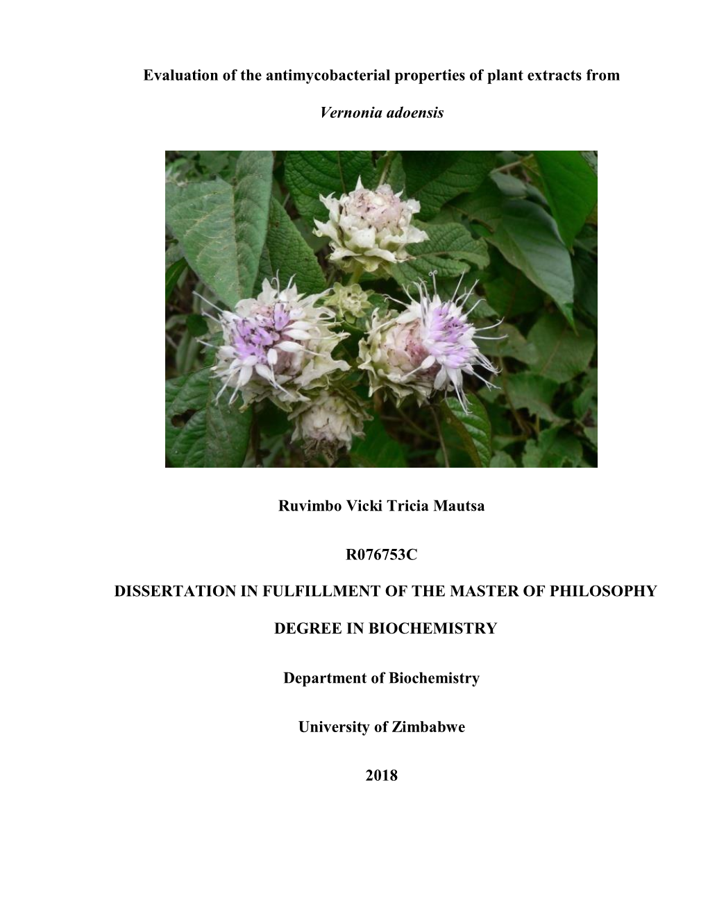 Evaluation of the Antimycobacterial Properties of Plant Extracts From