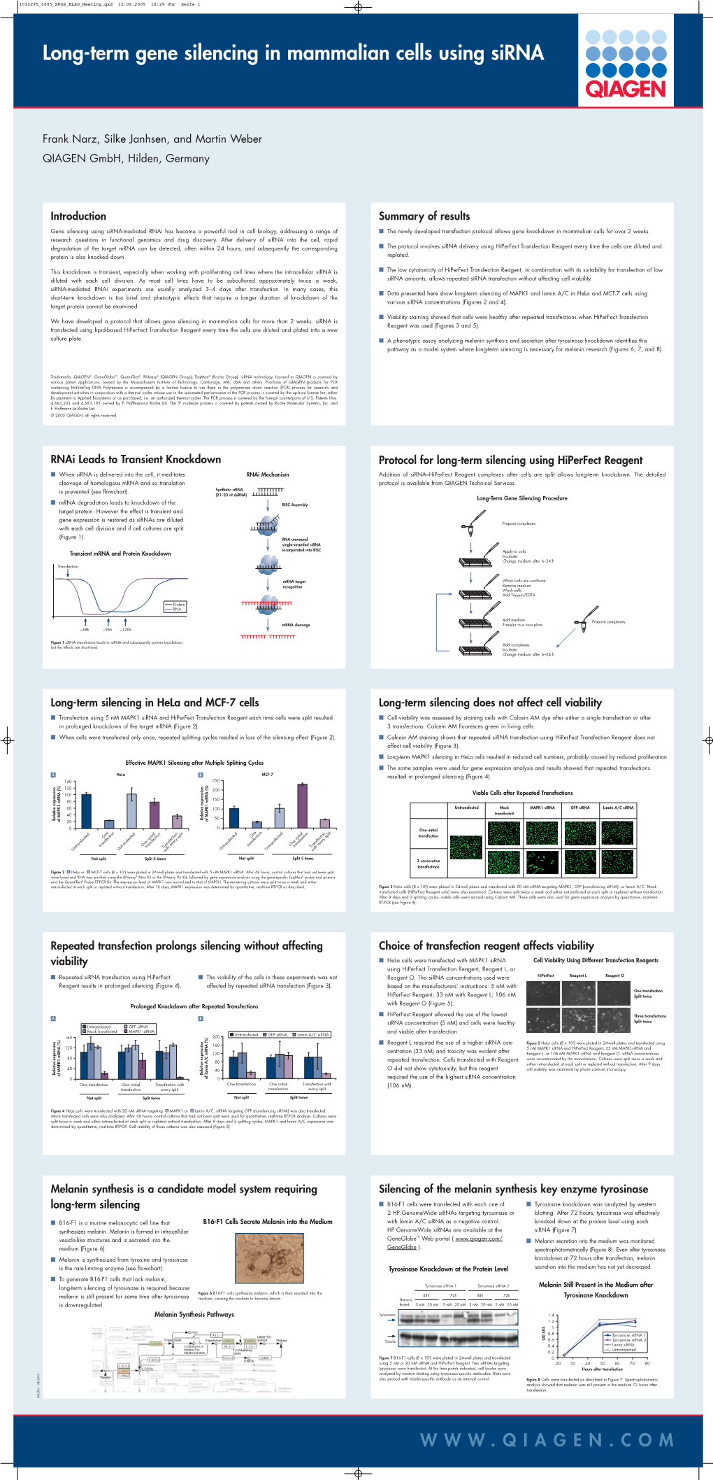 Long-Term Gene Silencing in Mammalian Cells Using Sirna