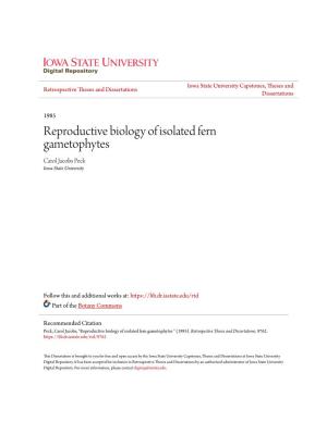 Reproductive Biology of Isolated Fern Gametophytes Carol Jacobs Peck Iowa State University