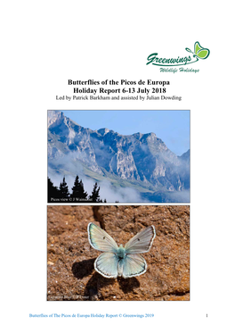 Butterflies of the Picos De Europa Holiday Report 6-13 July 2018 Led by Patrick Barkham and Assisted by Julian Dowding