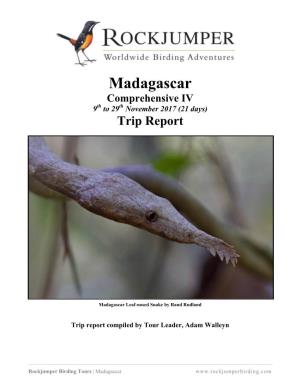 Madagascar Comprehensive IV 9Th to 29Th November 2017 (21 Days) Trip Report