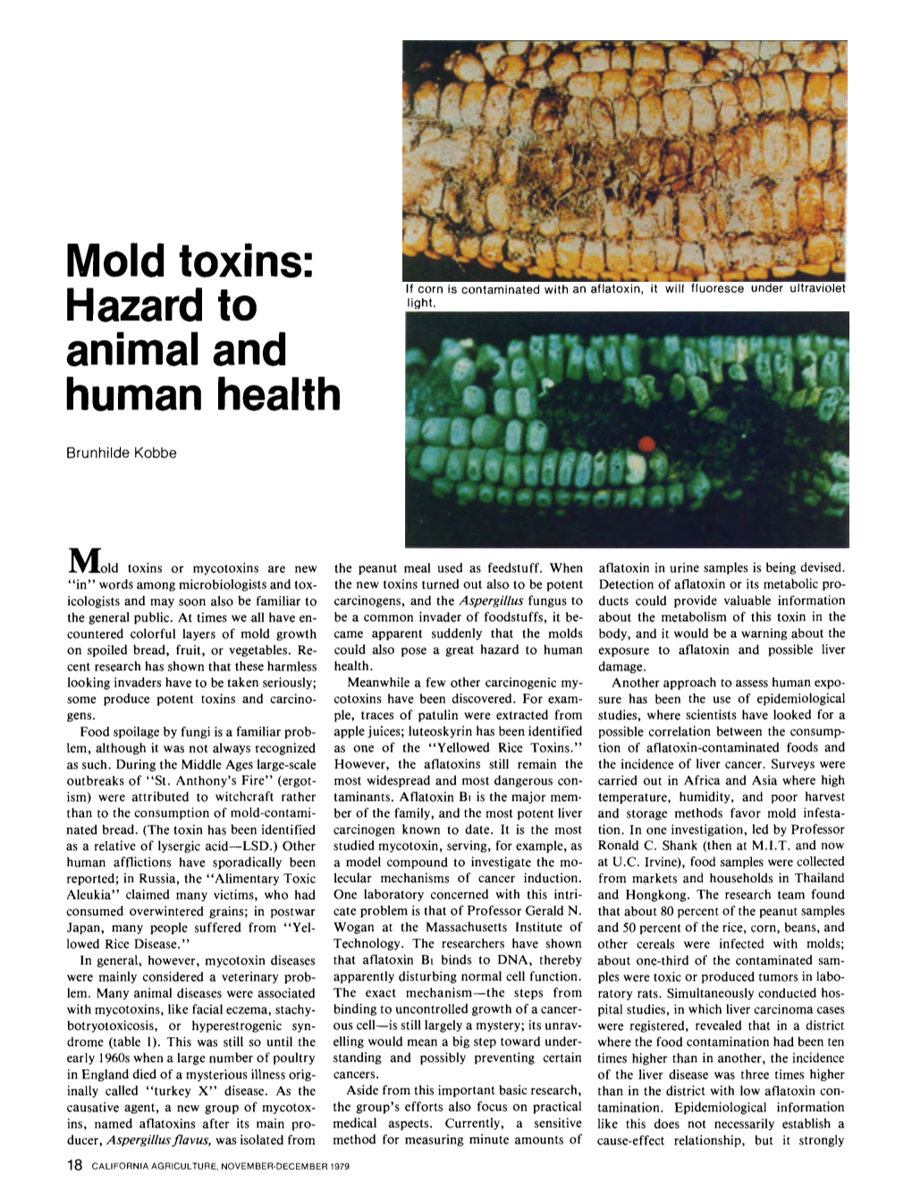 Mold Toxins: Hazard to Animal and Human Health