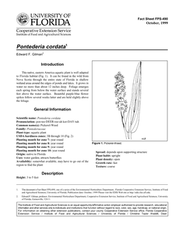 Pontederia Cordata1