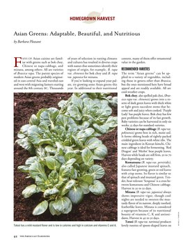 Asian Greens: Adaptable, Beautiful, and Nutritious by Barbara Pleasant