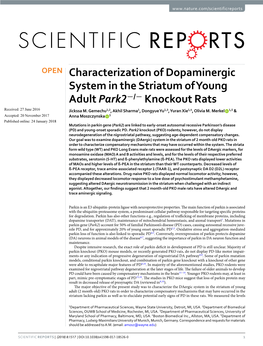 Characterization of Dopaminergic System in the Striatum of Young Adult Park2-/- Knockout Rats