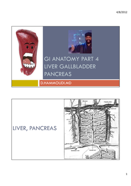 Gi Anatomy Part 4 Liver Gallbladder Pancreas D.Hammoudi.Md