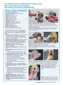 The Neurologic Examination in Dogs & Cats Part 1