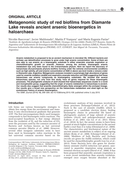 Metagenomic Study of Red Biofilms from Diamante Lake Reveals Ancient Arsenic Bioenergetics in Haloarchaea