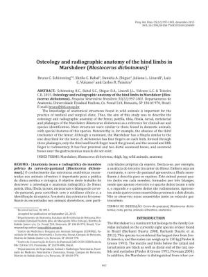 Osteology and Radiographic Anatomy of the Hind Limbs in Marshdeer (Blastocerus Dichotomus)1