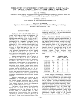 Preliminary Interpretation of Cenozoic Strata in the Tamara No. 1-Y Well, Sandoval County, North-Central New Mexico