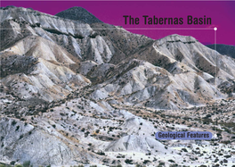 The Tabernas Basin