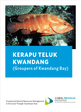 KERAPU TELUK KWANDANG (Groupers of Kwandang Bay)