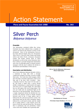 Silver Perch