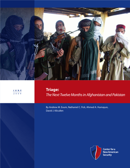 Triage: the Next Twelve Months in Afghanistan and Pakistan