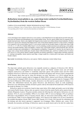 Bythaelurus Tenuicephalus N. Sp., a New Deep-Water Catshark (Carcharhiniformes, Scyliorhinidae) from the Western Indian Ocean