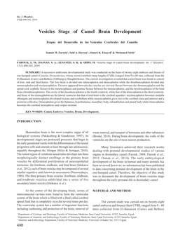 Vesicles Stage of Camel Brain Development