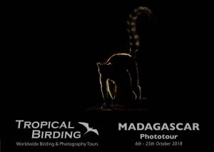 Madagascar 2018 Phototour Trip Report