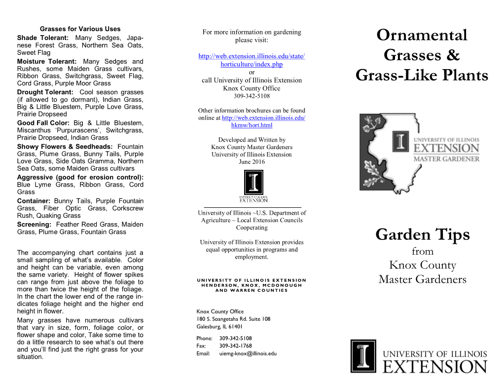 Garden Tips Ornamental Grasses & Grass-Like Plants