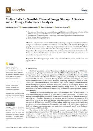 Molten Salts for Sensible Thermal Energy Storage: a Review and an Energy Performance Analysis
