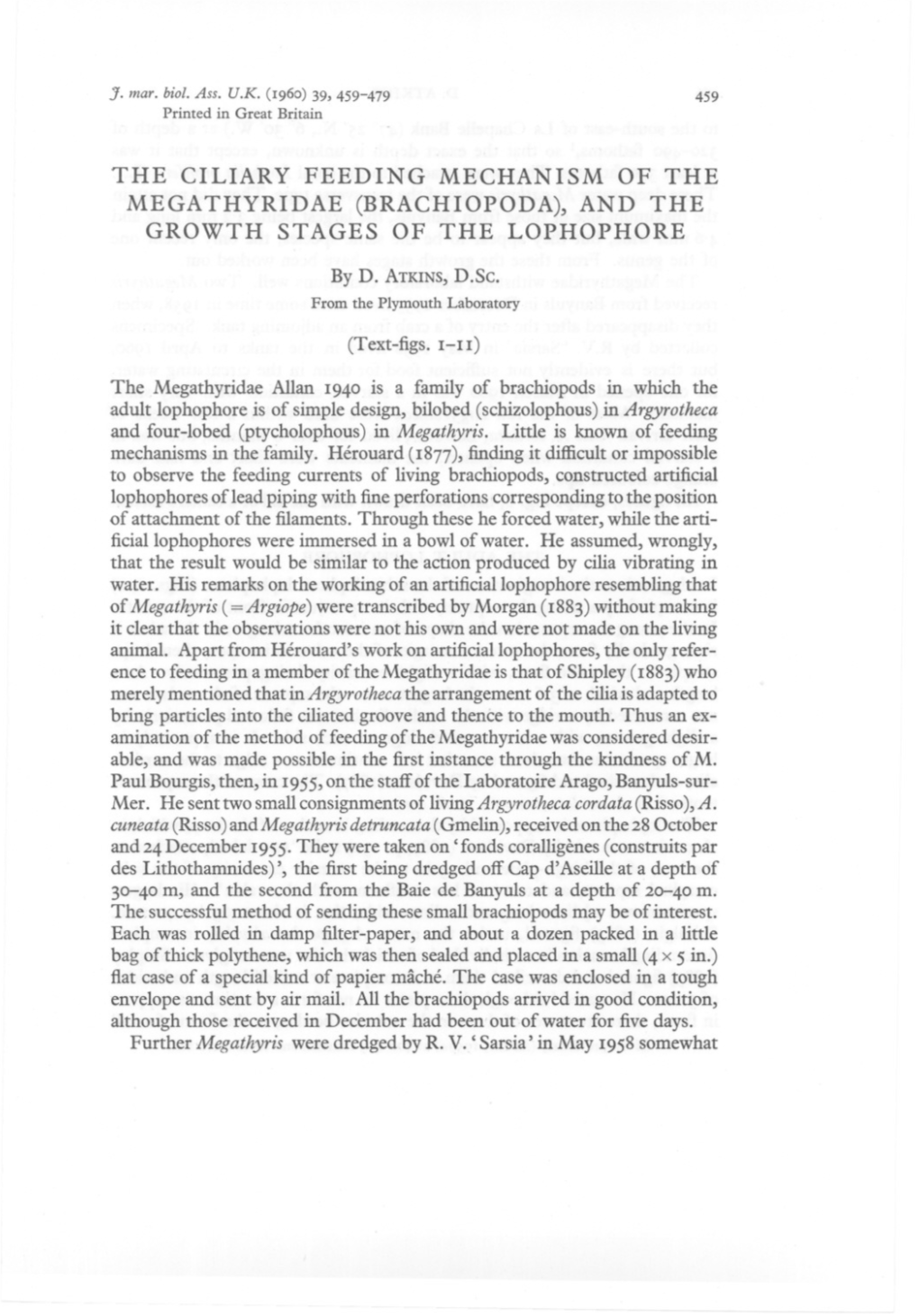 Brachiopoda), and the Growth Stages of the Lophophore