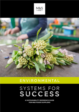 M&S Systems for Success Environmental Toolkit MARCH 2021
