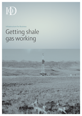 Getting Shale Gas Working Infrastructure for Business 2013 #6