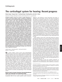 The Corticofugal System for Hearing: Recent Progress