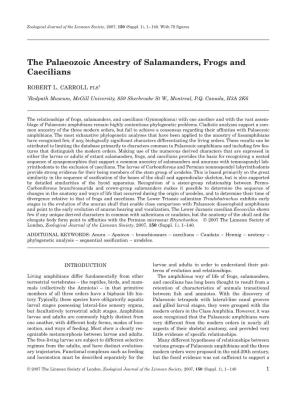 The Palaeozoic Ancestry of Salamanders, Frogs and Caecilians