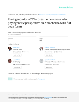 'Discosea': a New Molecular Phylogenetic Perspective On