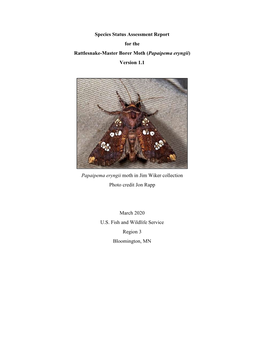 Species Status Assessment Report for the Rattlesnake-Master Borer Moth (Papaipema Eryngii) Version 1.1