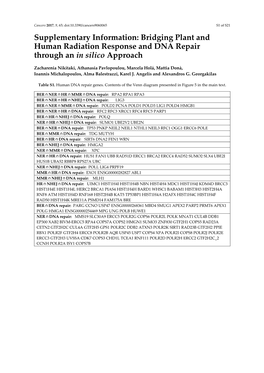 Bridging Plant and Human Radiation Response and DNA Repair Through an in Silico Approach