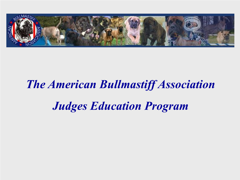 The American Bullmastiff Association Judges Education Program Judges Education Committee