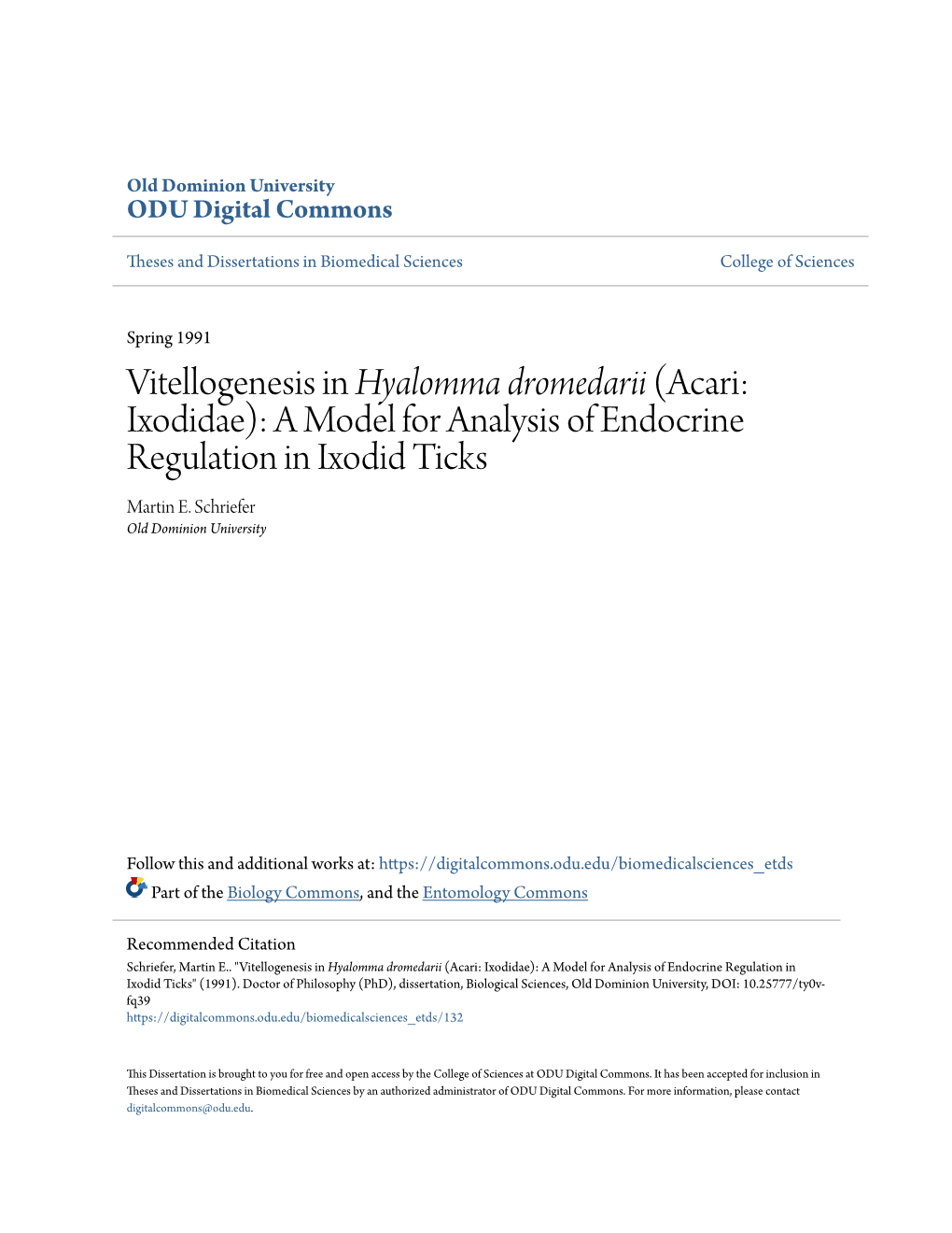 Vitellogenesis in <I>Hyalomma Dromedarii</I> (Acari: Ixodidae)