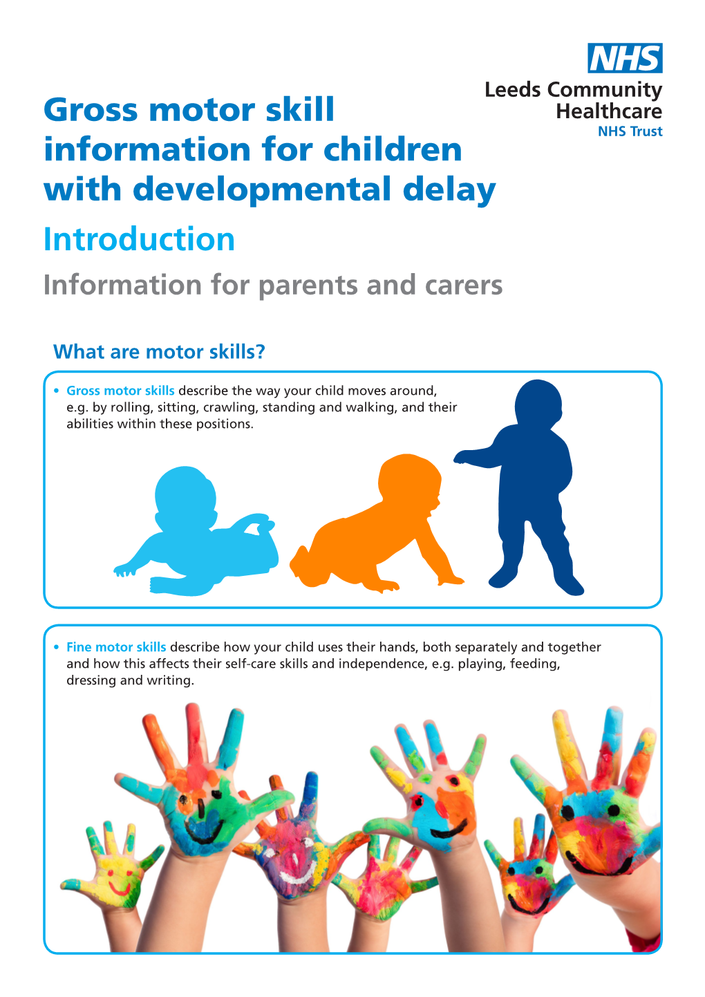 Gross Motor Skill Information for Children with Developmental Delay Introduction Information for Parents and Carers