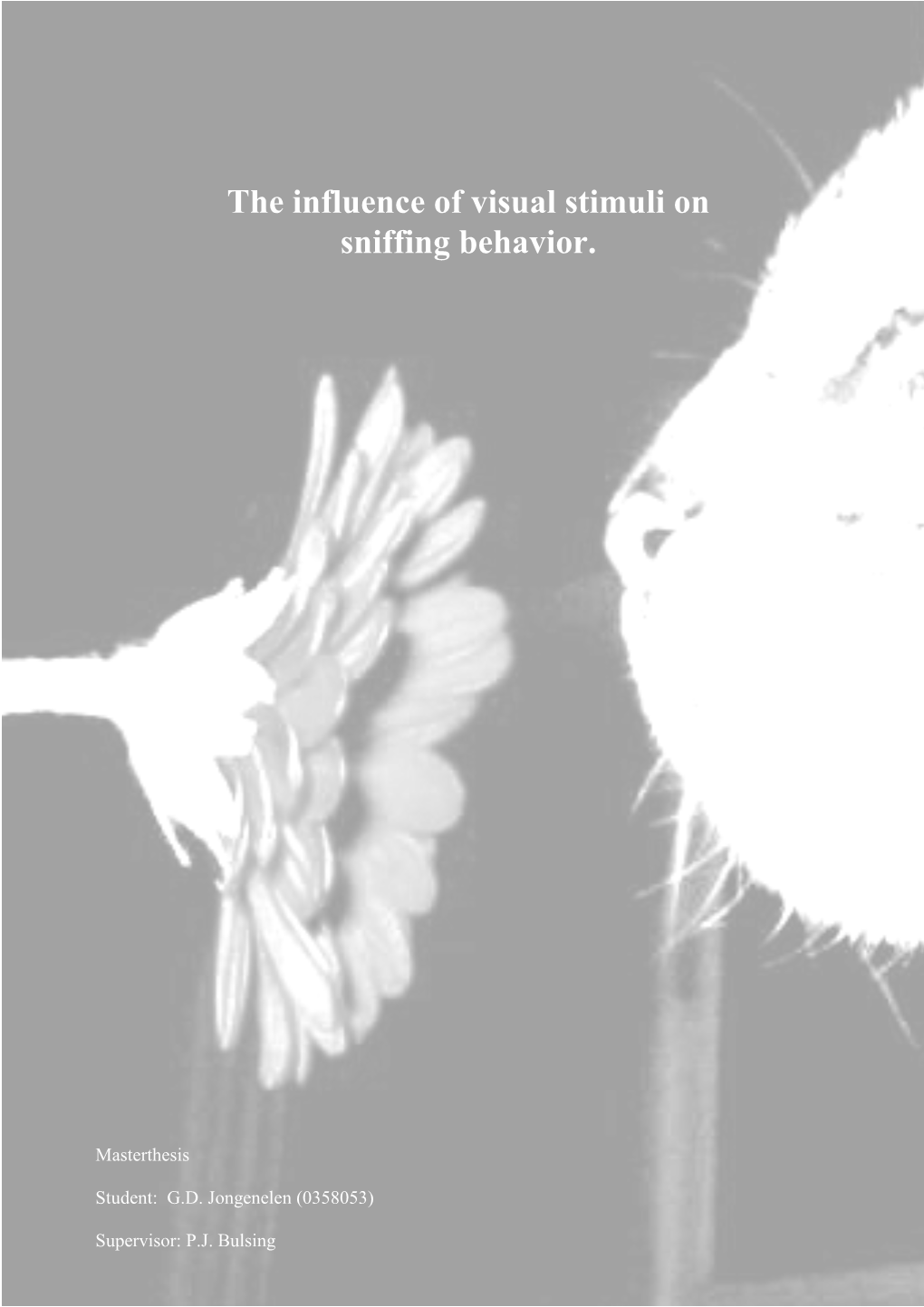 The Influence of Visual Stimuli on Sniffing Behavior