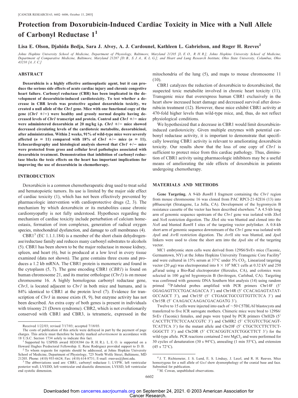 Protection from Doxorubicin-Induced Cardiac Toxicity in Mice with a Null Allele of Carbonyl Reductase 11