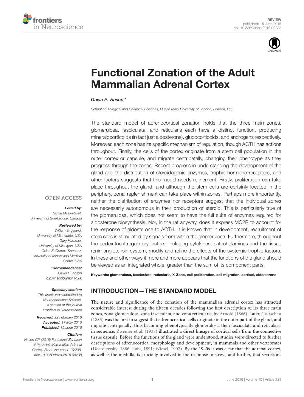Functional Zonation of the Adult Mammalian Adrenal Cortex