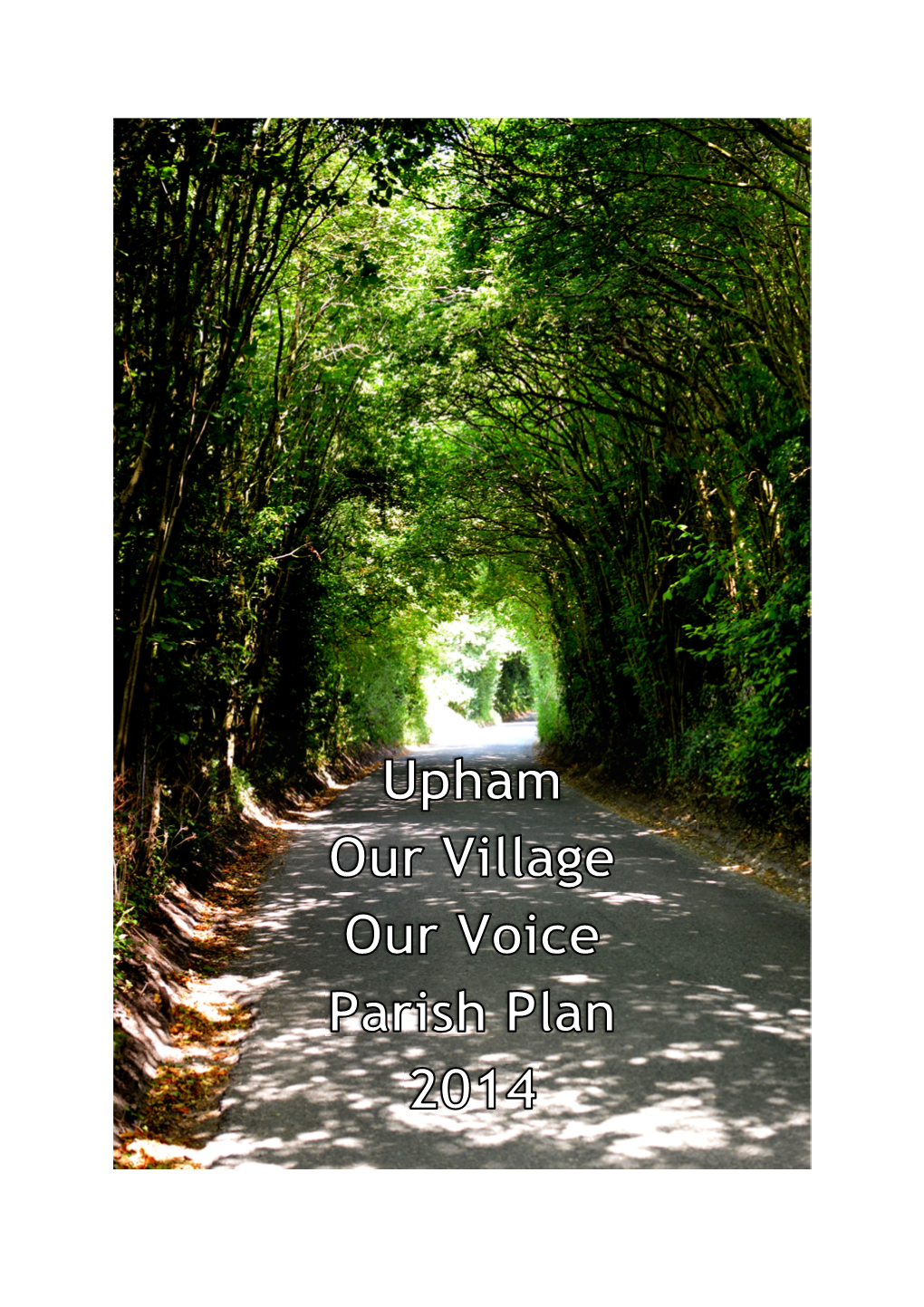 Parish Plan Upham: Our Village, Our Voice