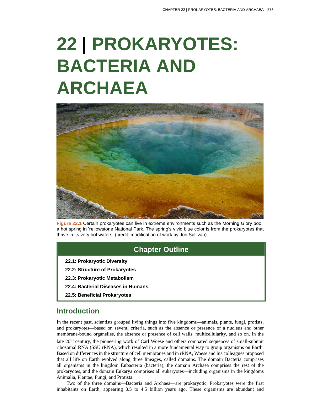 Prokaryotes: Bacteria and Archaea 573