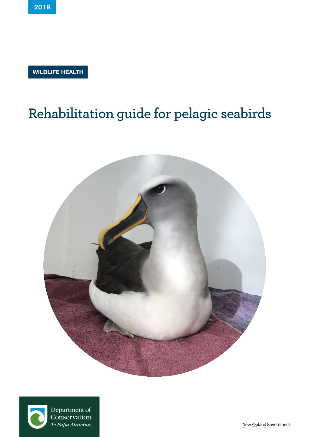 Seabird Rehabilitation Guide