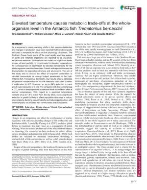 Organism Level in the Antarctic Fish Trematomus Bernacchii Tina Sandersfeld1,*, William Davison2, Miles D