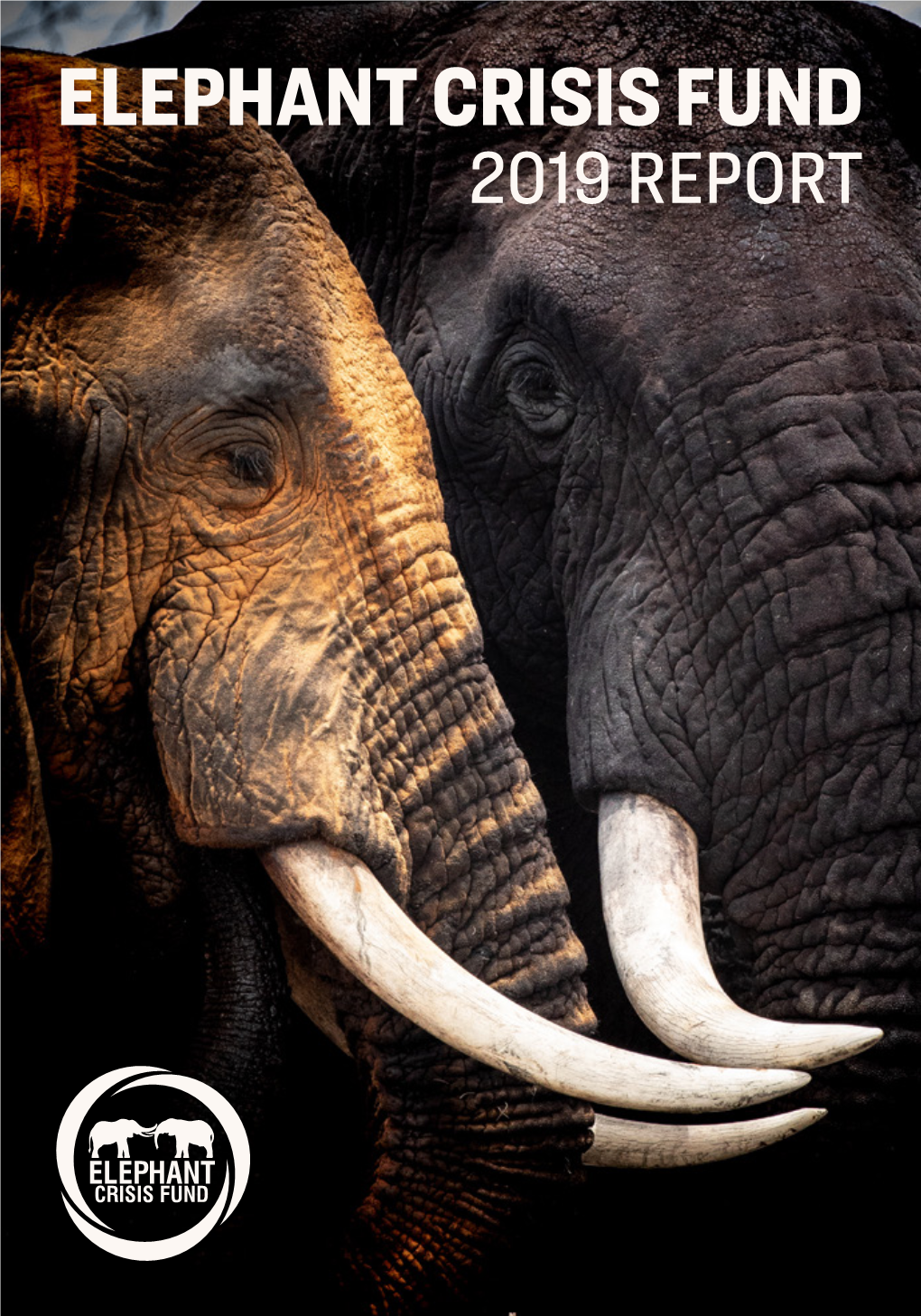 Elephant Crisis Fund 2019 Report 2019 Overview