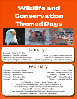 Wildlife and Conservation Themed Days