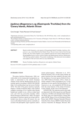 Jujubinus Silbogomerus N. Sp. (Gastropoda Trochidae) from the Canary Islands, Atlantic Ocean