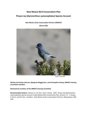 Pinyon Jay (Gymnorhinus Cyanocephalus) Species Account