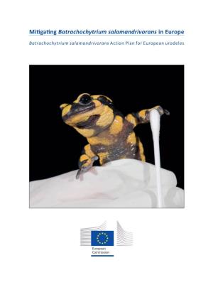 Batrachochytrium Salamandrivorans Action Plan for European Urodeles
