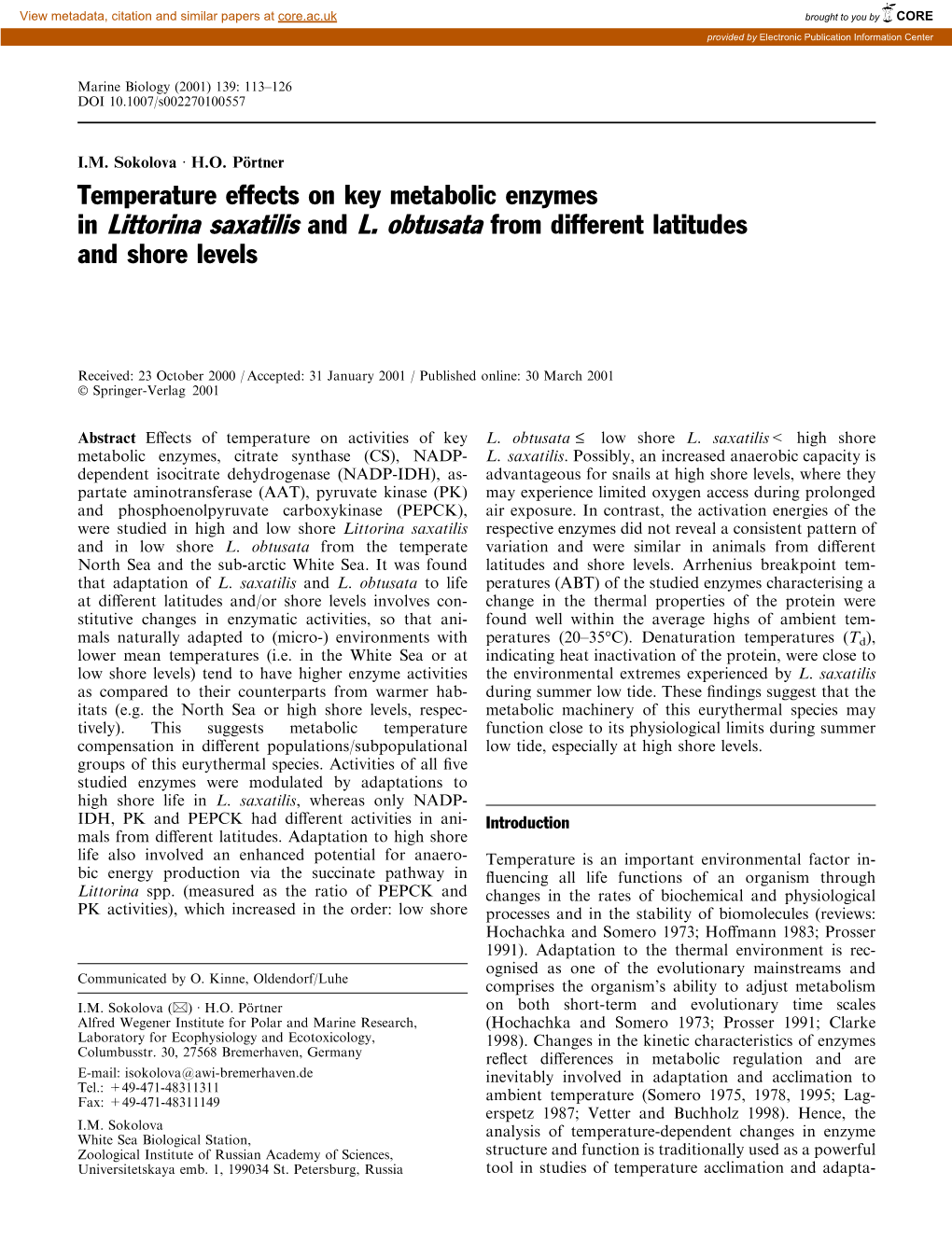 Temperature Effects on Key Metabolic Enzymes in Littorina Saxatilis and L